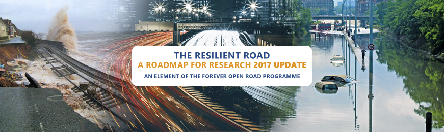The Resilient Road
